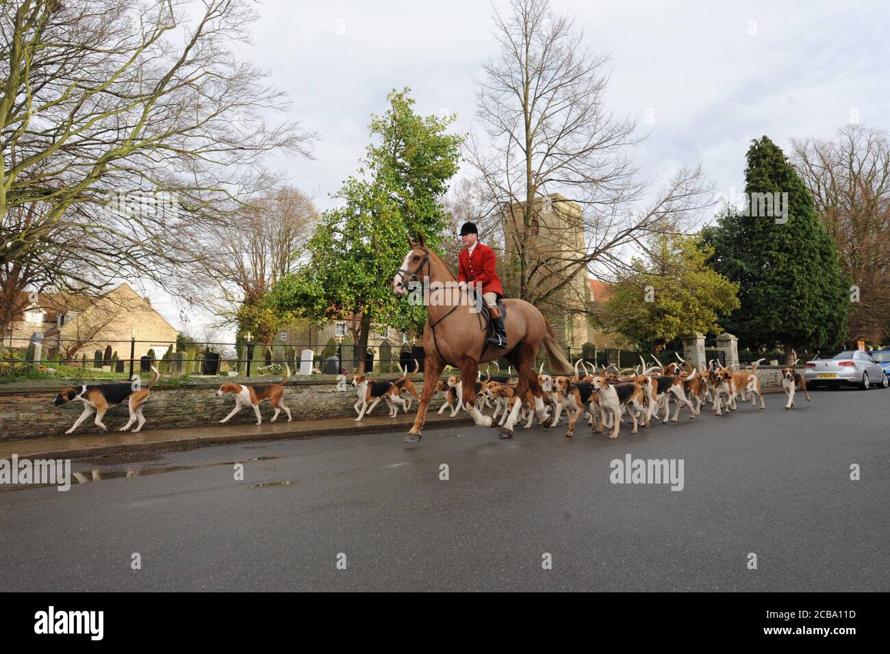 Belvoir Hunt Huntsman John Holliday mit den Belvoir Foxhounds vorbei an Osbournby Dorfkirche in Lincolnshire U.K. Old English Foxhounds Stockfoto