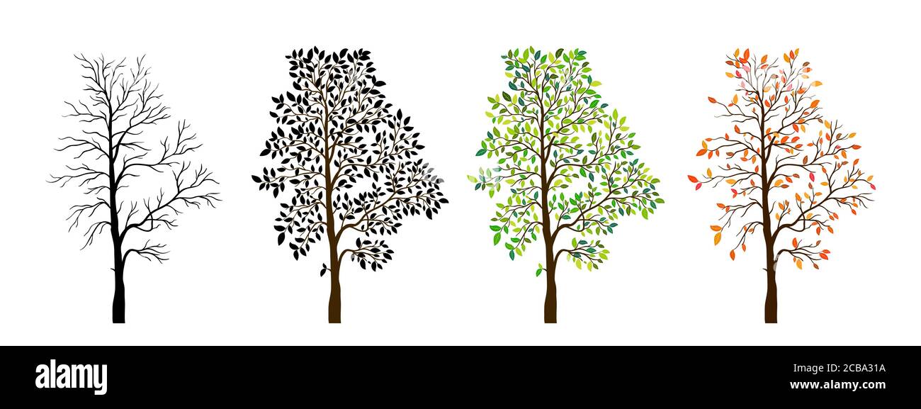Baum Jahreszeiten Natur Hintergrund. Vektorgrafik Stock Vektor