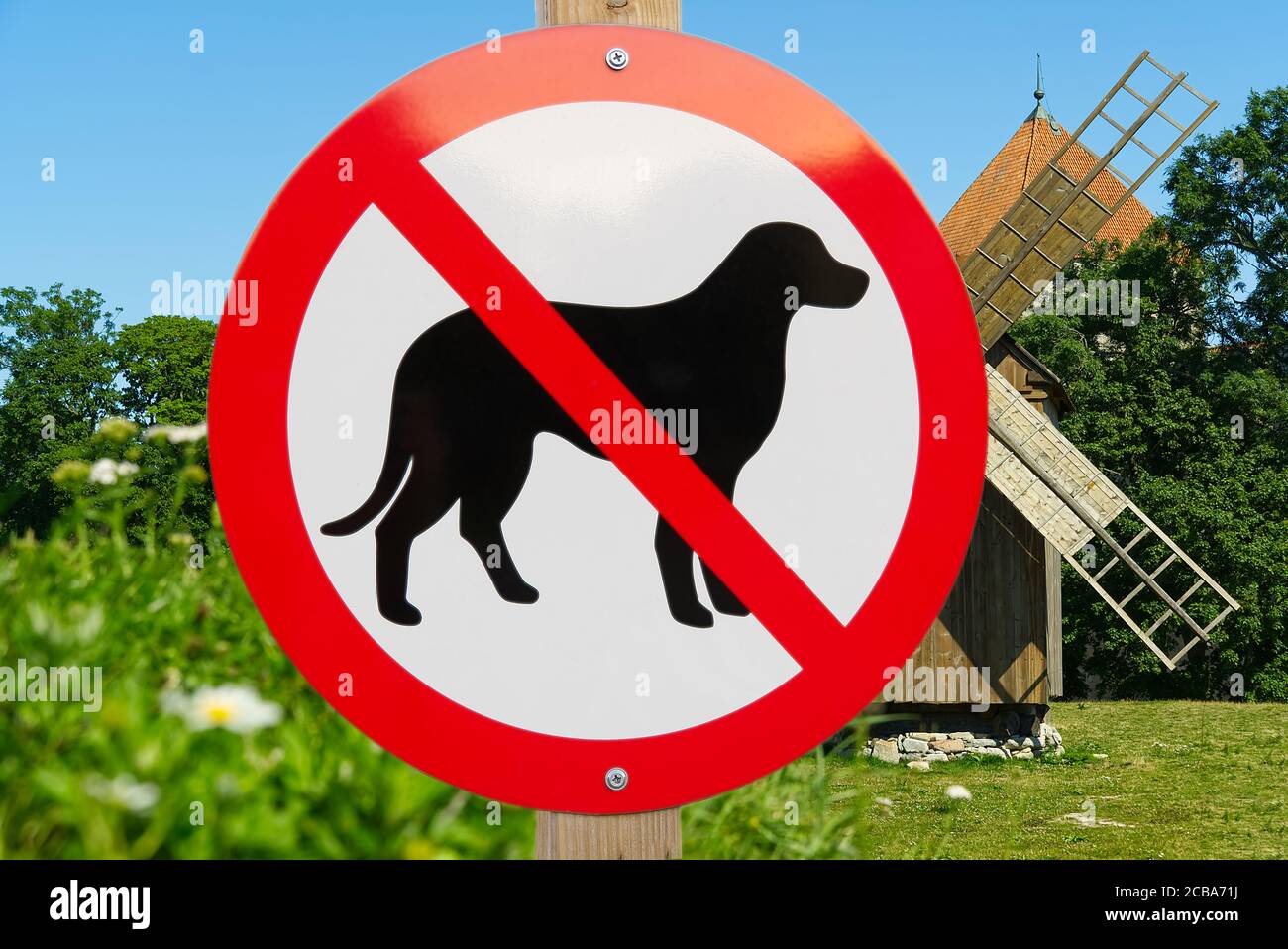 Kein Hundeschild im Wanderparkbereich. Keine Haustiere erlaubt Schild zum öffentlichen Park. Stockfoto
