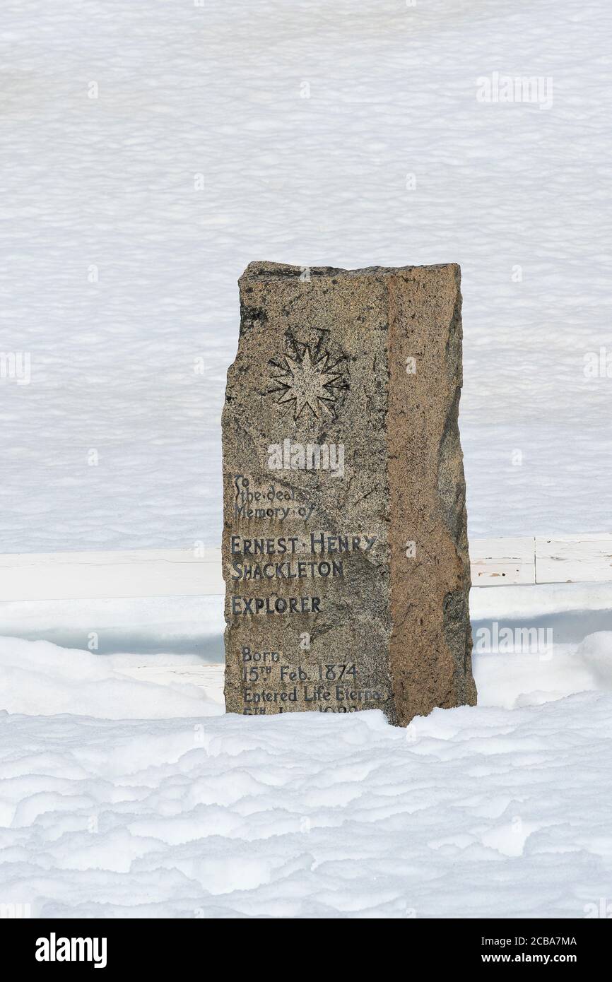 Ernest Shackletons Grabstele unter Schnee, Grytviken Friedhof, King Edward Cove, Südgeorgien, Südgeorgien und die Sandwichinseln, Antarktis Stockfoto