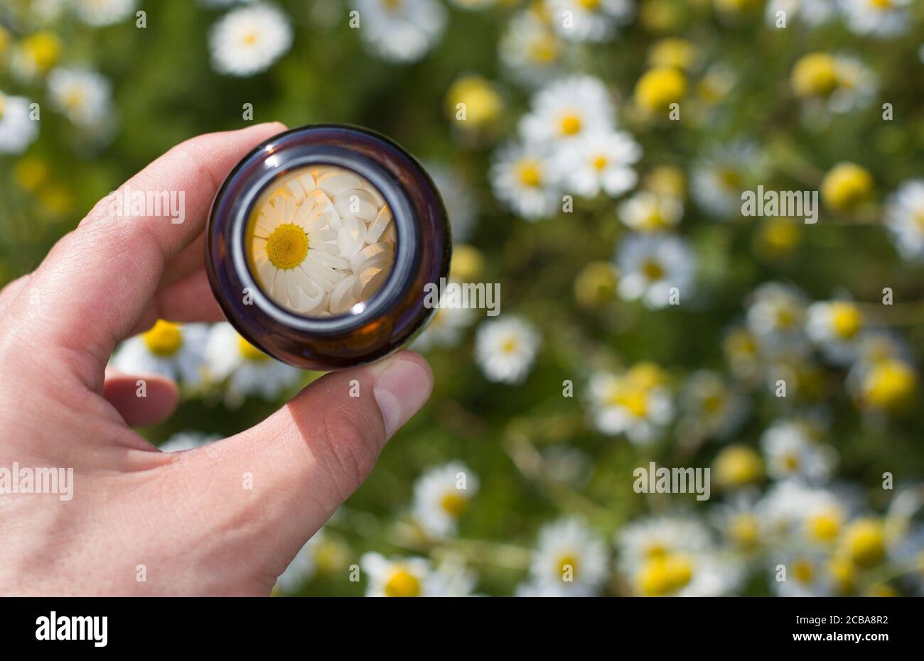 Homöopathische Kügelchen in kleinen Flaschen, Homöopathie Konzept Stockfoto