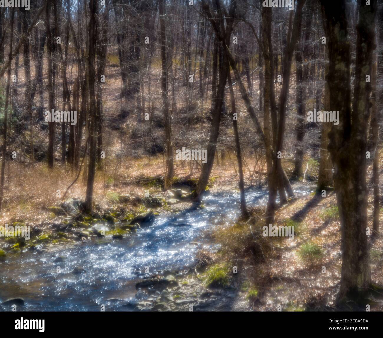LITTLE RIVER REDDING CONNECTICUT 06896 USA Stockfoto