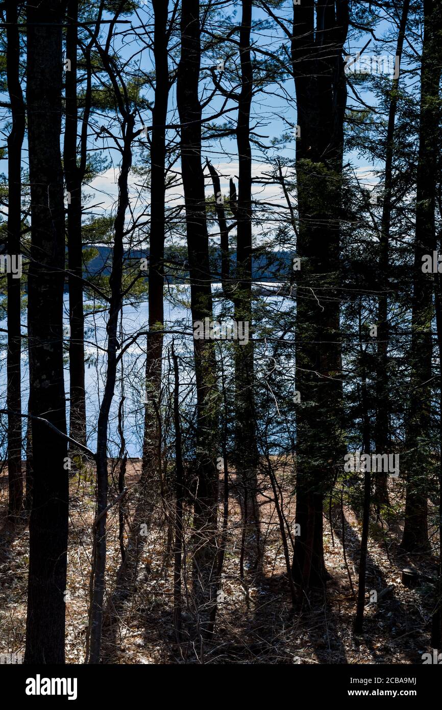 SAUGATUCK RESERVOIR REDDING CONNECTICUT 06896 USA Stockfoto