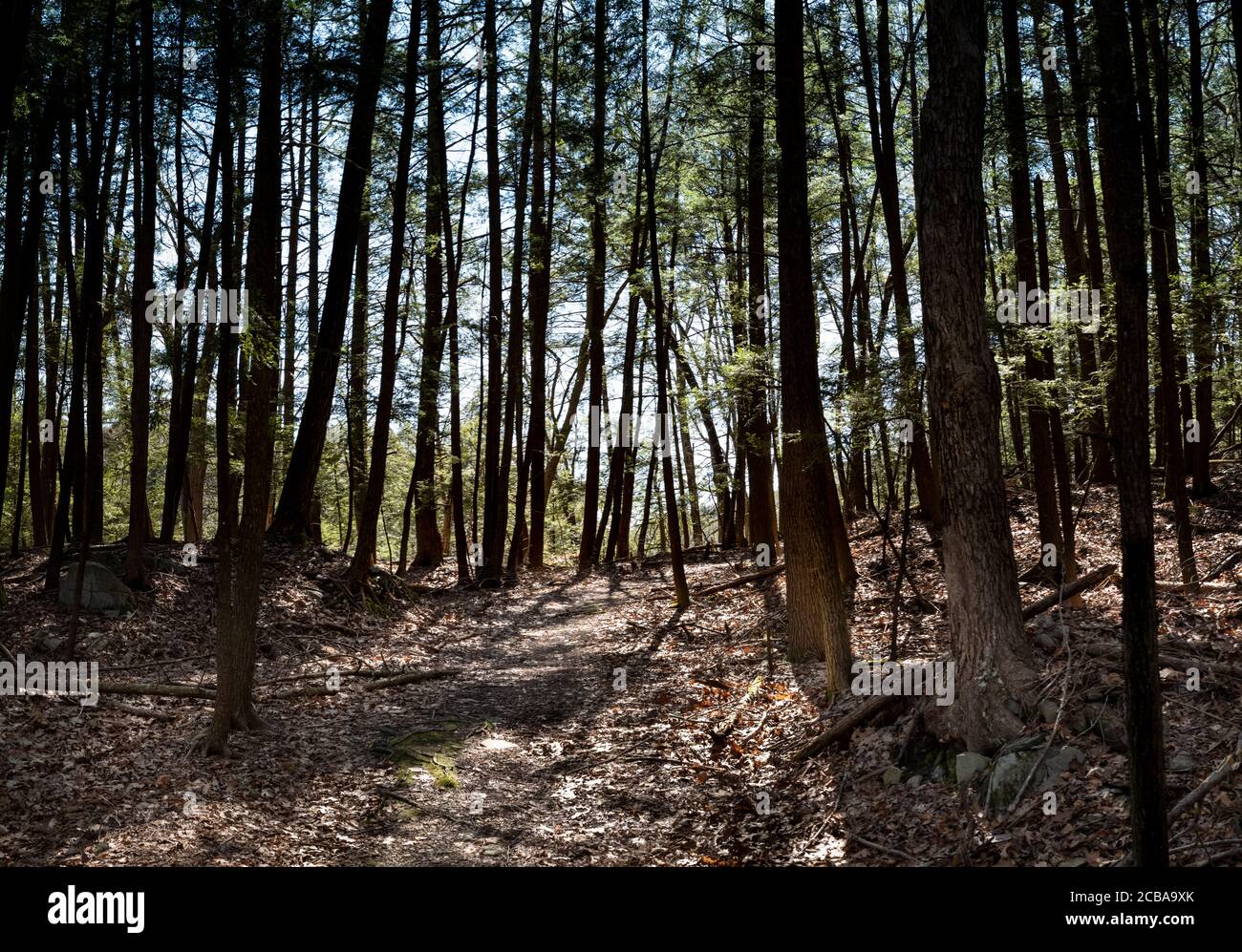SAUGATUCK RESERVOIR REDDING CONNECTICUT 06896 USA Stockfoto