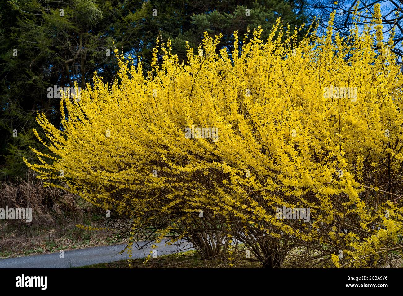 NEWTOWN TURNPIKE REDDING CONNECTICUT 06896 USA Stockfoto