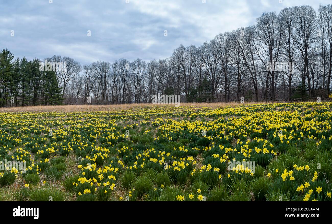 ÜBERQUEREN SIE DEN HIGHWAY REDDING CONNECTICUT 06896 USA Stockfoto