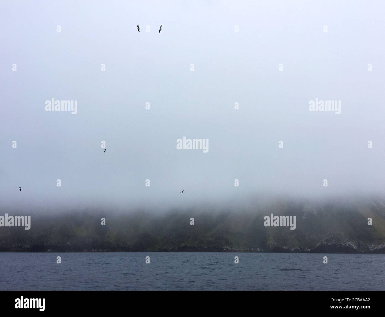 Unbewohnte Vulkaninsel im Nebel, Neuseeland, Antipoden-Inseln Stockfoto