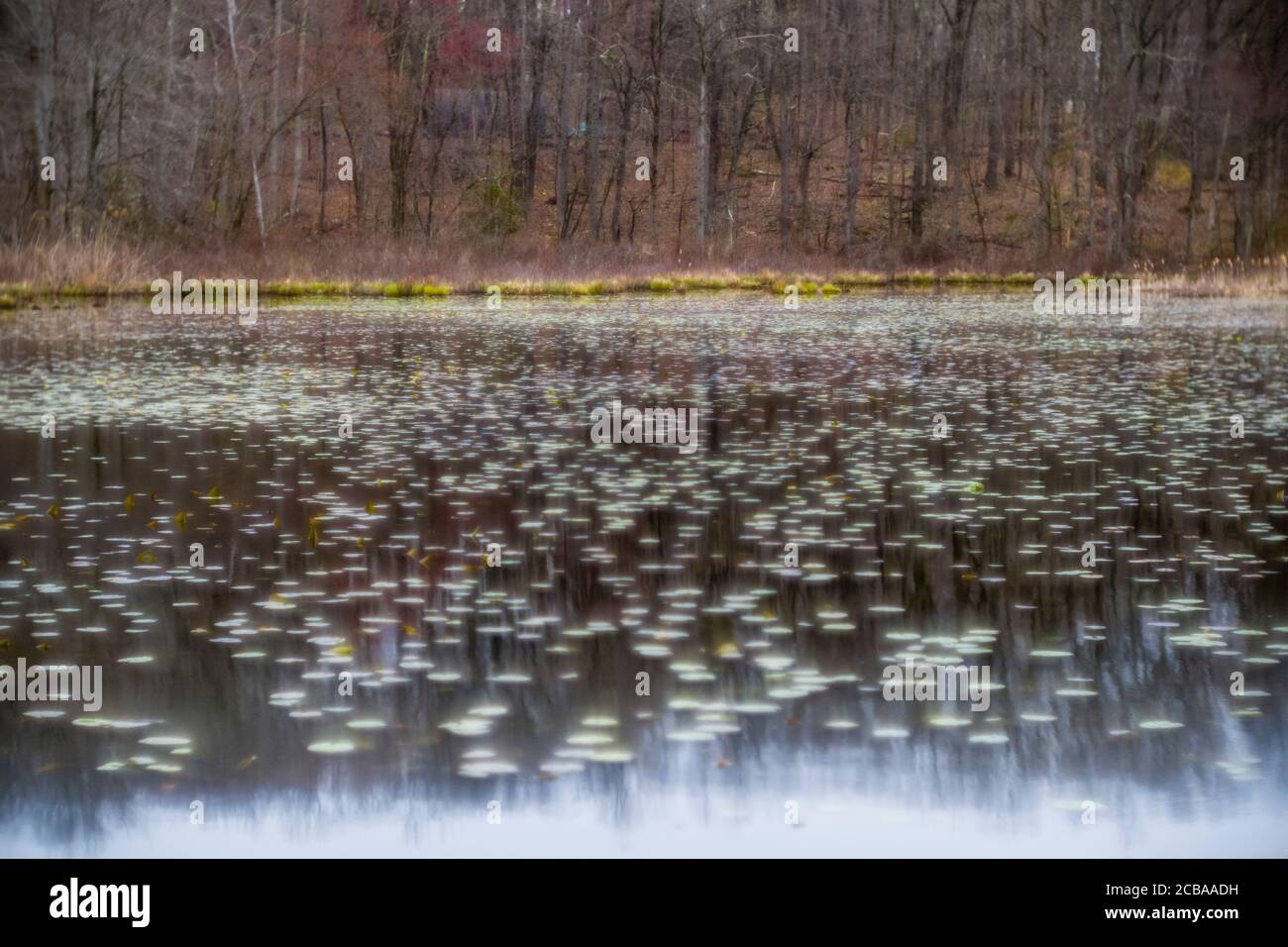 LONETOWN ROAD REDDING CONNECTICUT 06896 USA Stockfoto