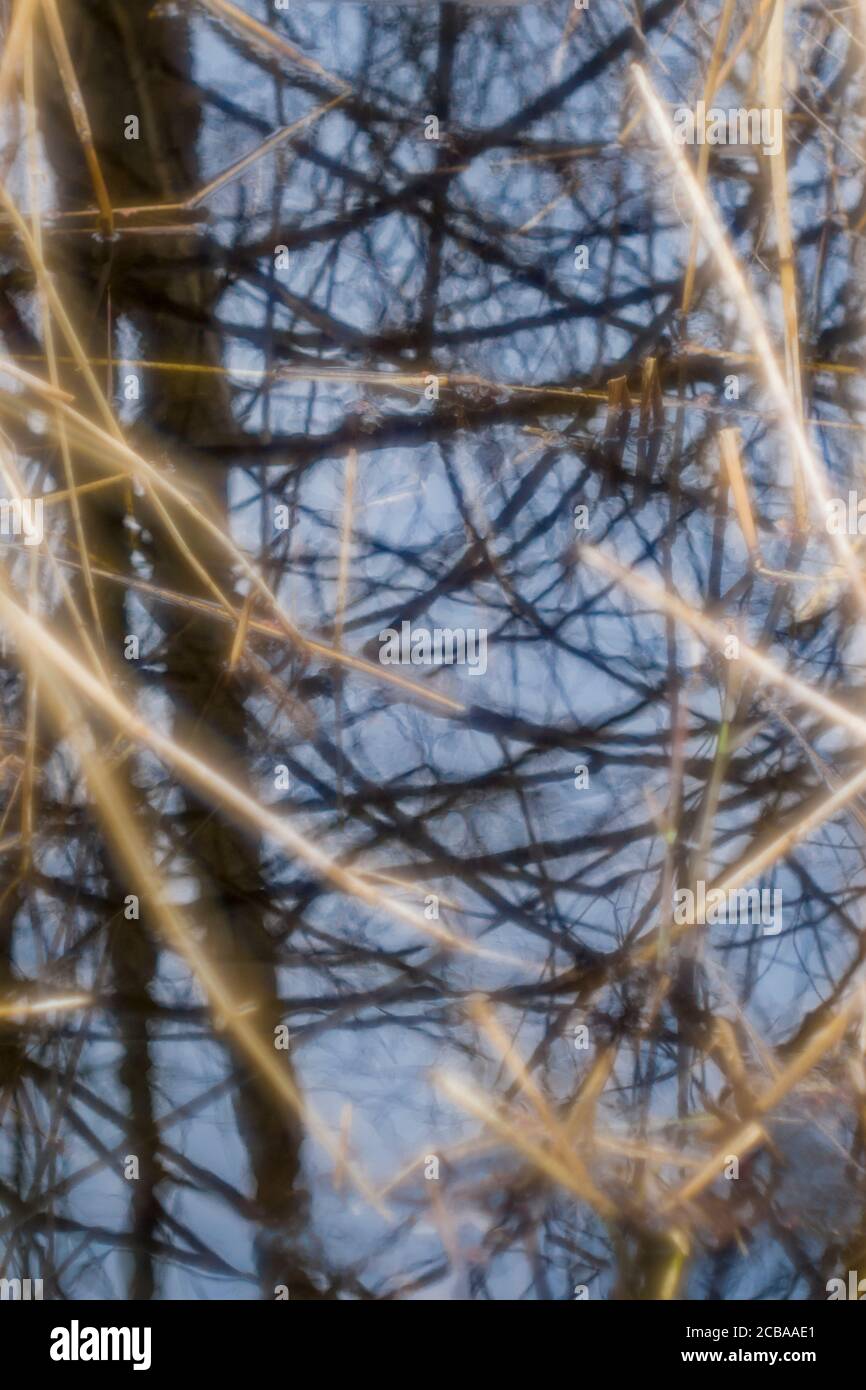 LONETOWN ROAD REDDING CONNECTICUT 06896 USA Stockfoto