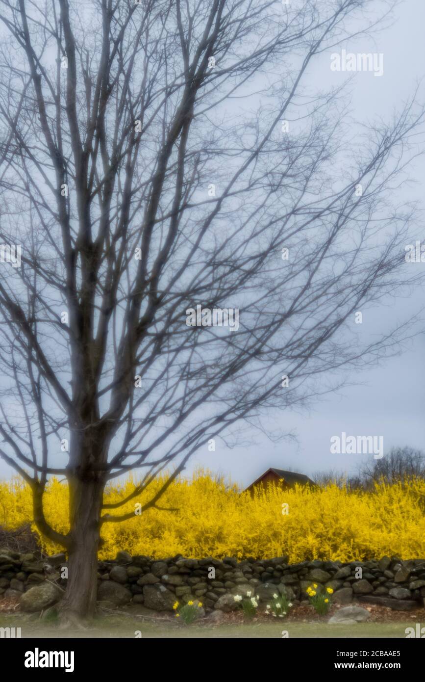 LONETOWN ROAD REDDING CONNECTICUT 06896 USA Stockfoto