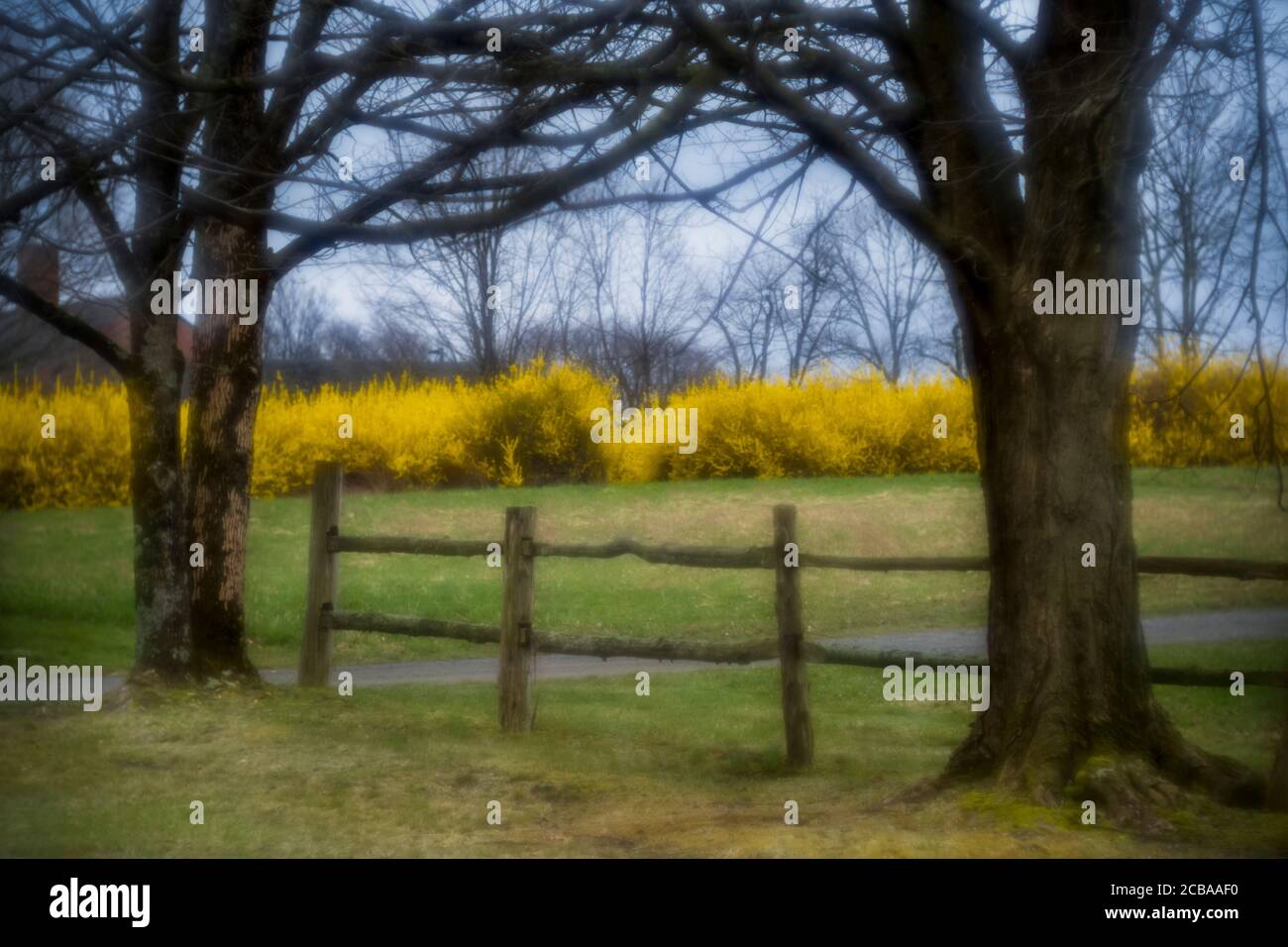 LONETOWN ROAD REDDING CONNECTICUT 06896 USA Stockfoto