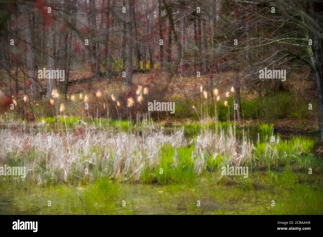 LONETOWN ROAD REDDING CONNECTICUT 06896 USA Stockfoto