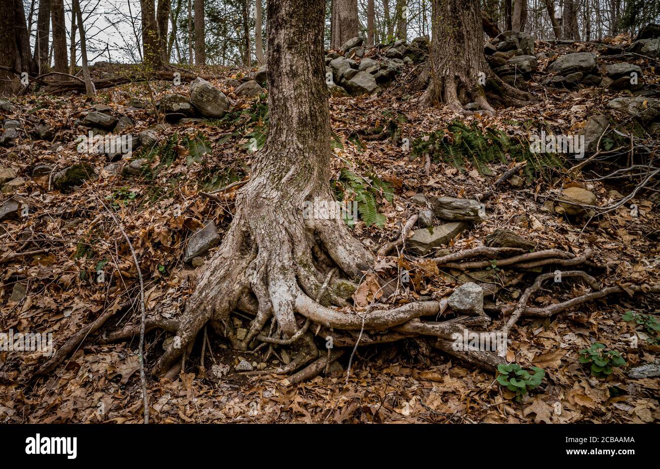 SHERMAN TURNPIKE REDDING CONNECTICUT 06896 USA Stockfoto