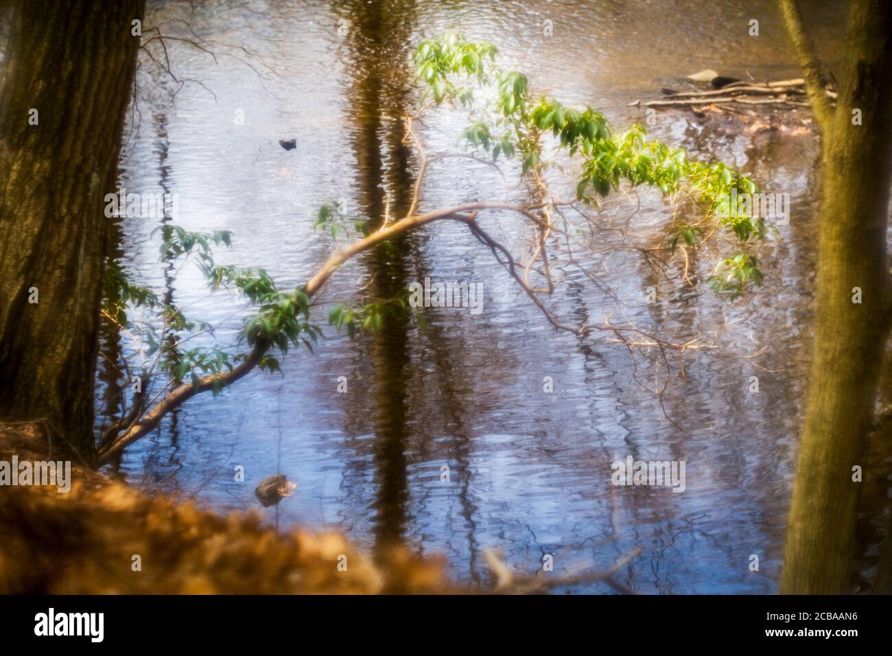 ASPETUCK TALWEG REDDING CONNECTICUT 06896 USA Stockfoto