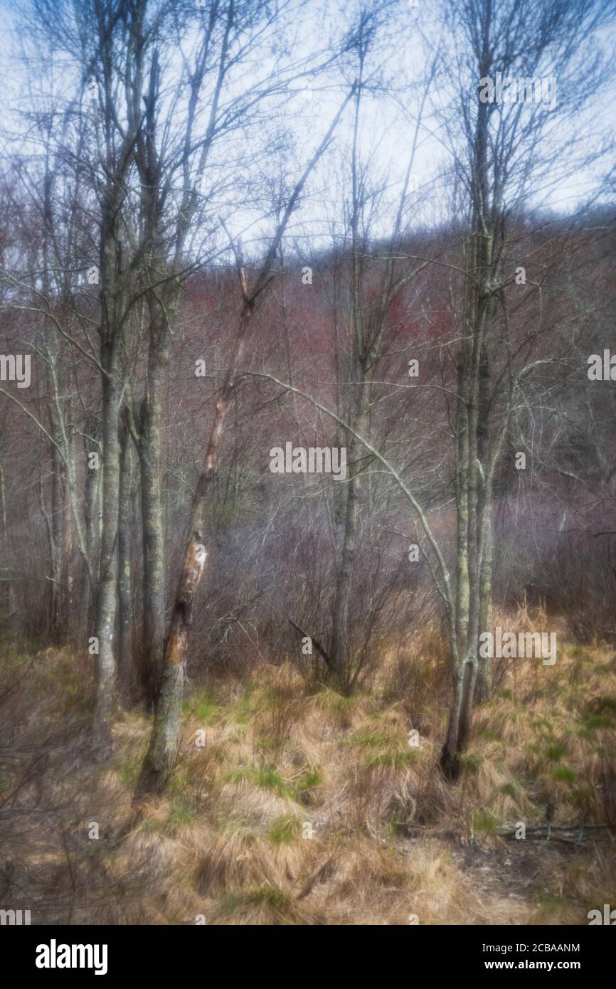 ASPETUCK TALWEG REDDING CONNECTICUT 06896 USA Stockfoto