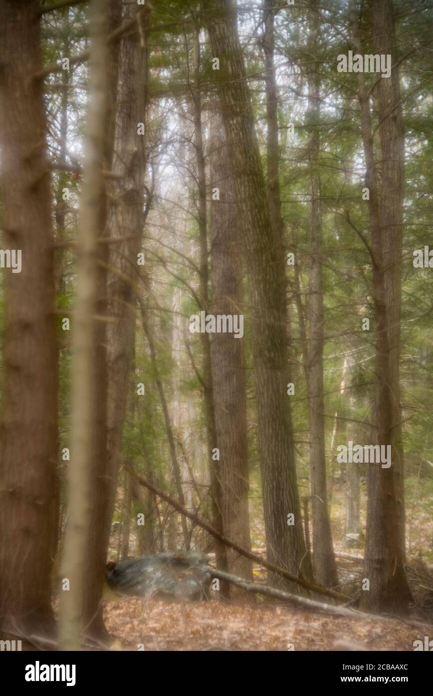 ASPETUCK TALWEG REDDING CONNECTICUT 06896 USA Stockfoto