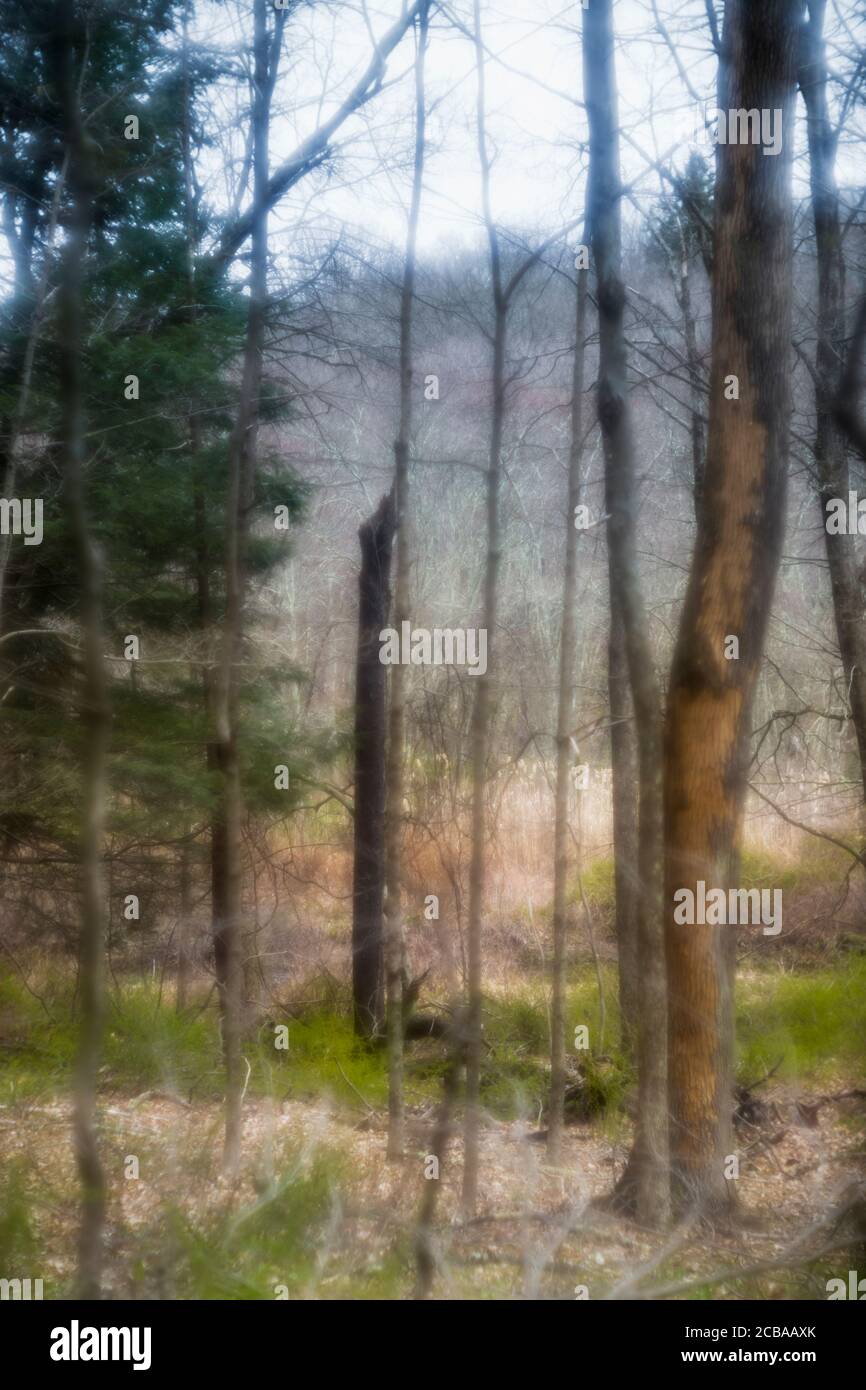 ASPETUCK TALWEG REDDING CONNECTICUT 06896 USA Stockfoto