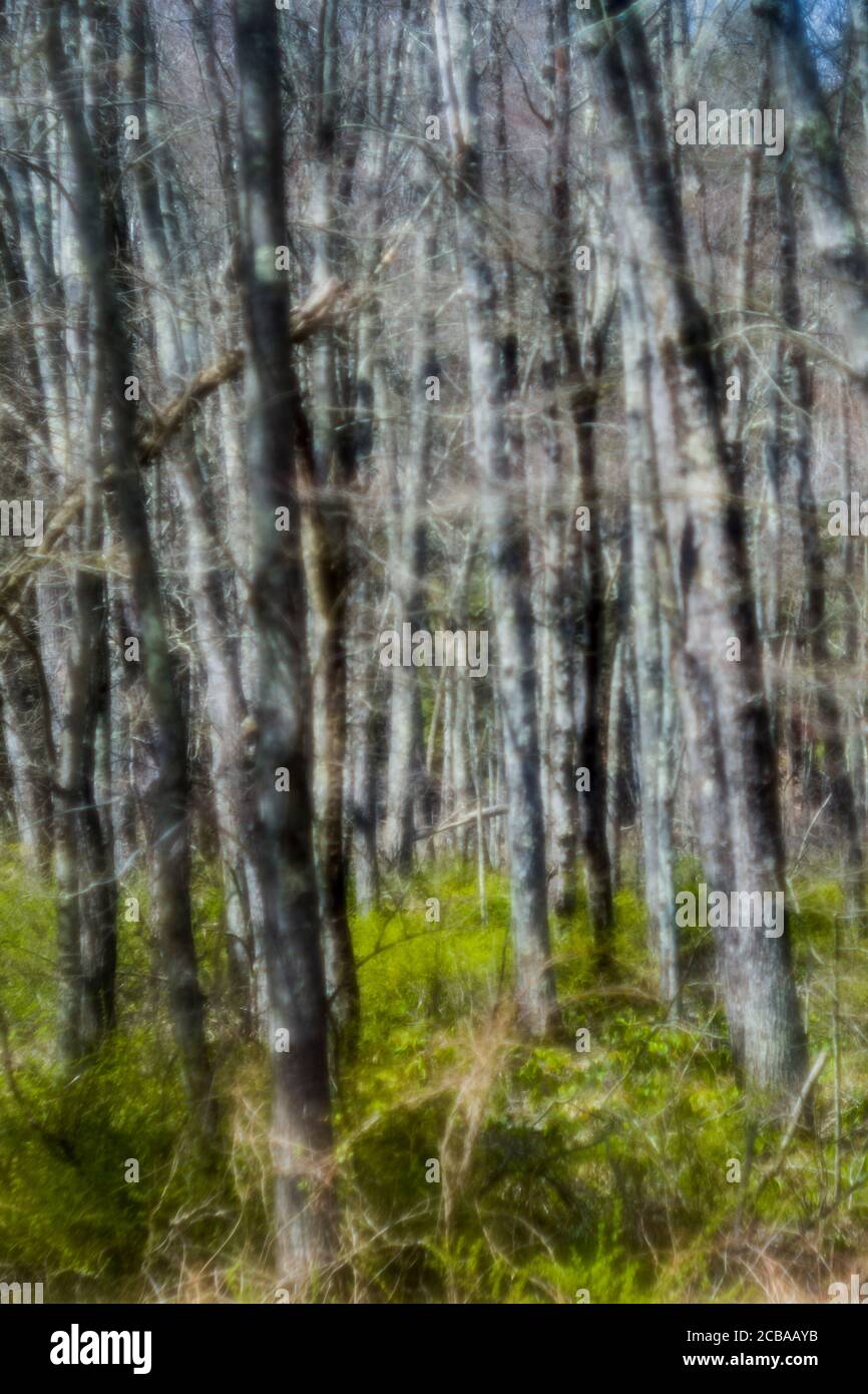 SAUGATUCK FÄLLT NATURGEBIET REDDING CONNECTICUT 06896 Stockfoto