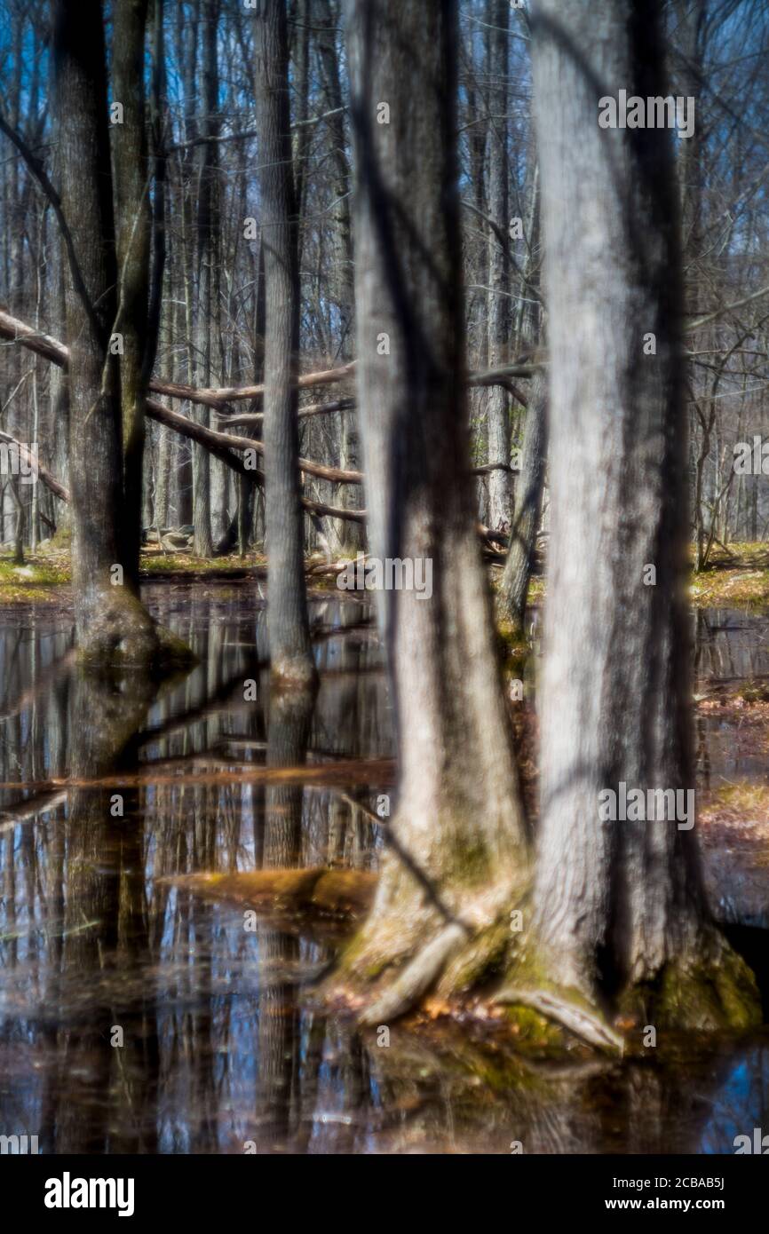 SAUGATUCK FÄLLT NATURGEBIET REDDING CONNECTICUT 06896 Stockfoto