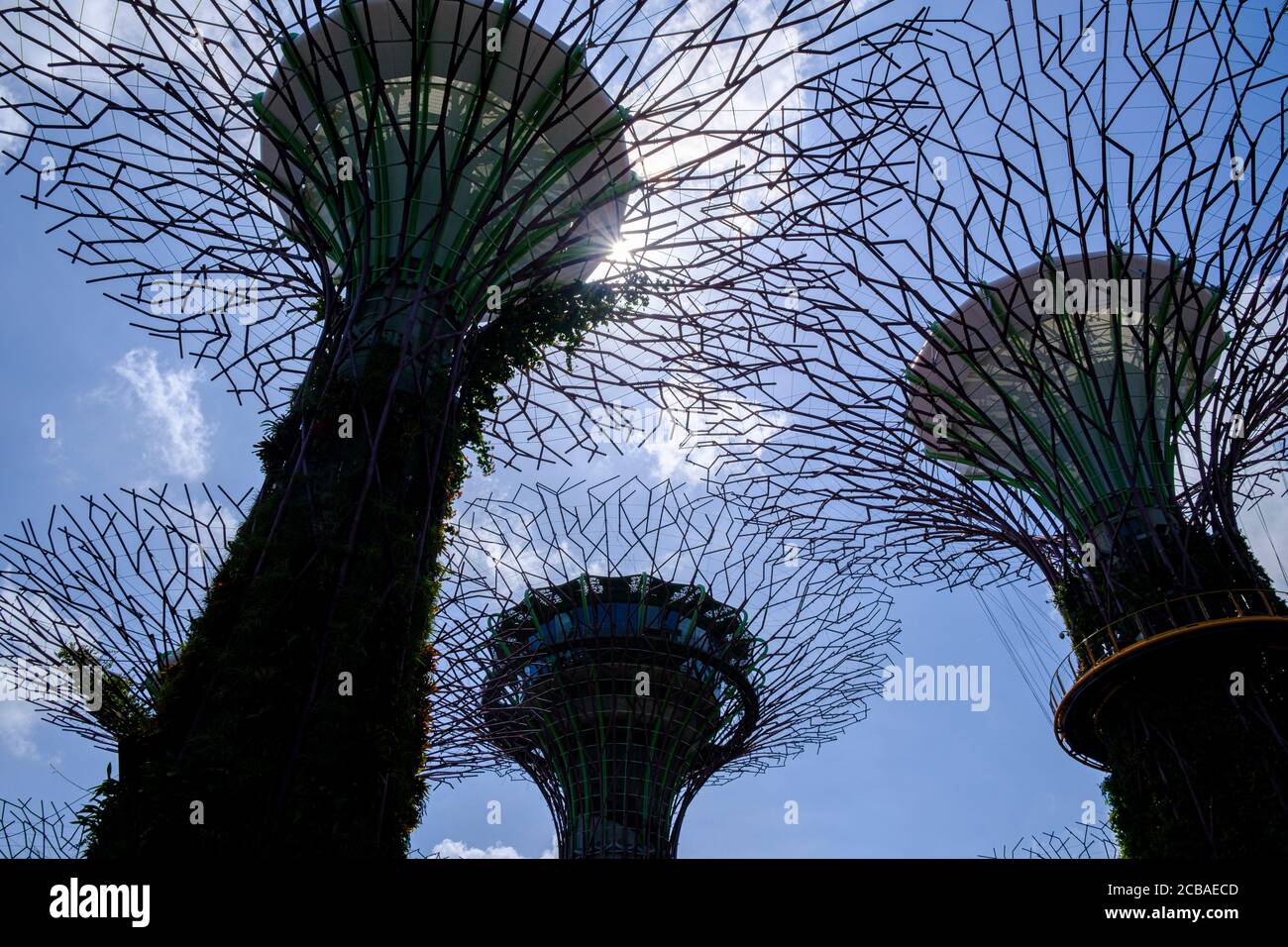 Die baumarchigen Strukturen von Supertree Grove wurden gegen die Sonne, Gardens by the Bay, Singapur, geschildet Stockfoto