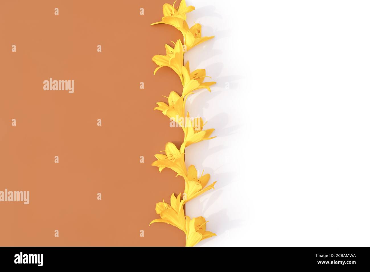 Gelbes Lilienblumenlayout auf pastellfarbenem und isoliertem weißem Hintergrund. Stilvolle Retro-Design-Vorlage. Sommerkonzept. Speicherplatz kopieren. Gelber Hintergrund. Stockfoto