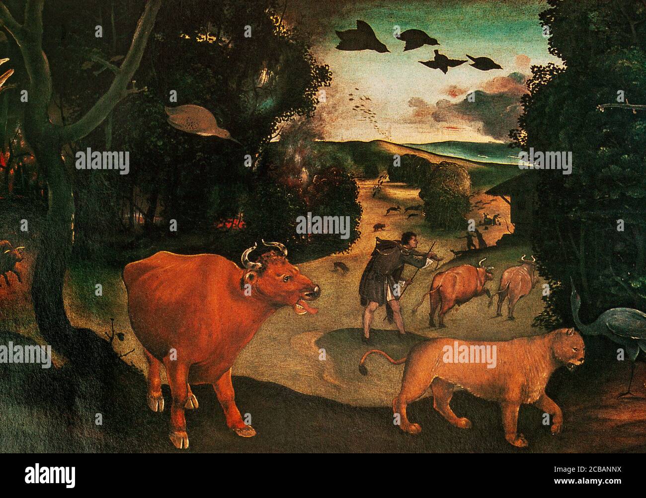 Aus c. 1505, 'A Forest Fire' von Piero di Cosimo (1462-1522), einem Maler der Renaissance. Er ist vor allem für die mythologischen und allegorischen Themen bekannt, die er im späten Quattrocento (1400-1499) malte. Allerdings hatte der Hochrenaissance-Stil des neuen Jahrhunderts wenig Einfluss auf ihn, und er behielt den direkten Realismus seiner Figuren, die sich mit einer oft skurrilen Behandlung seiner Themen zu schaffen, die unverwechselbare Stimmung seiner Werke. Stockfoto