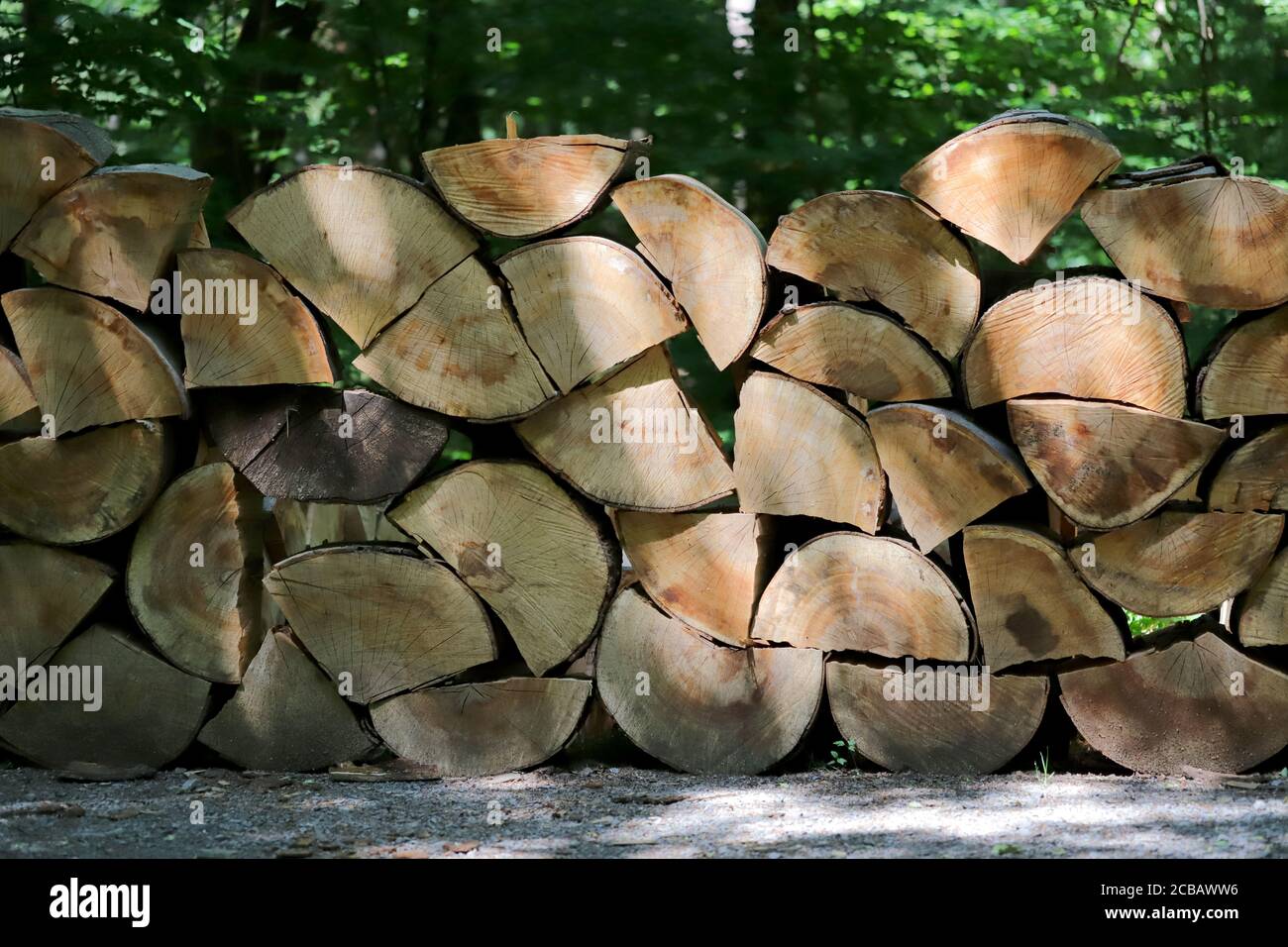 Gestapeltes Holz im Wald in Baden Württemberg Stockfoto