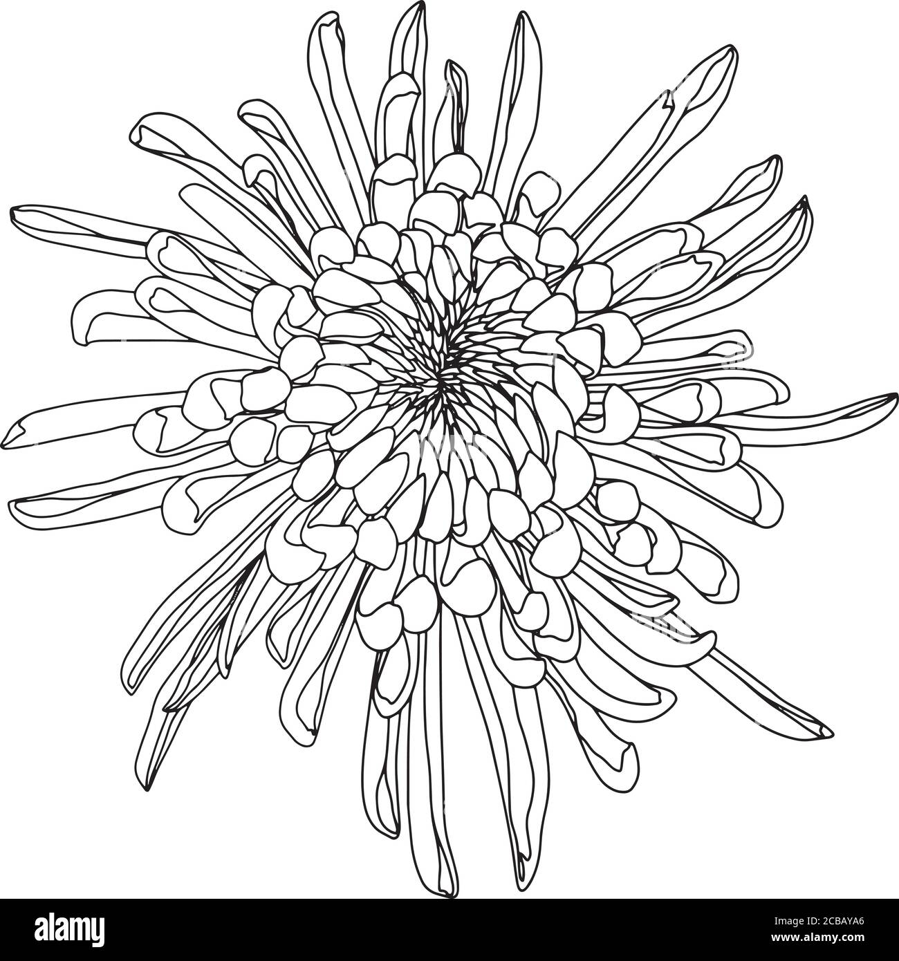Vektor-Illustration von Blumenmuster Stock Vektor