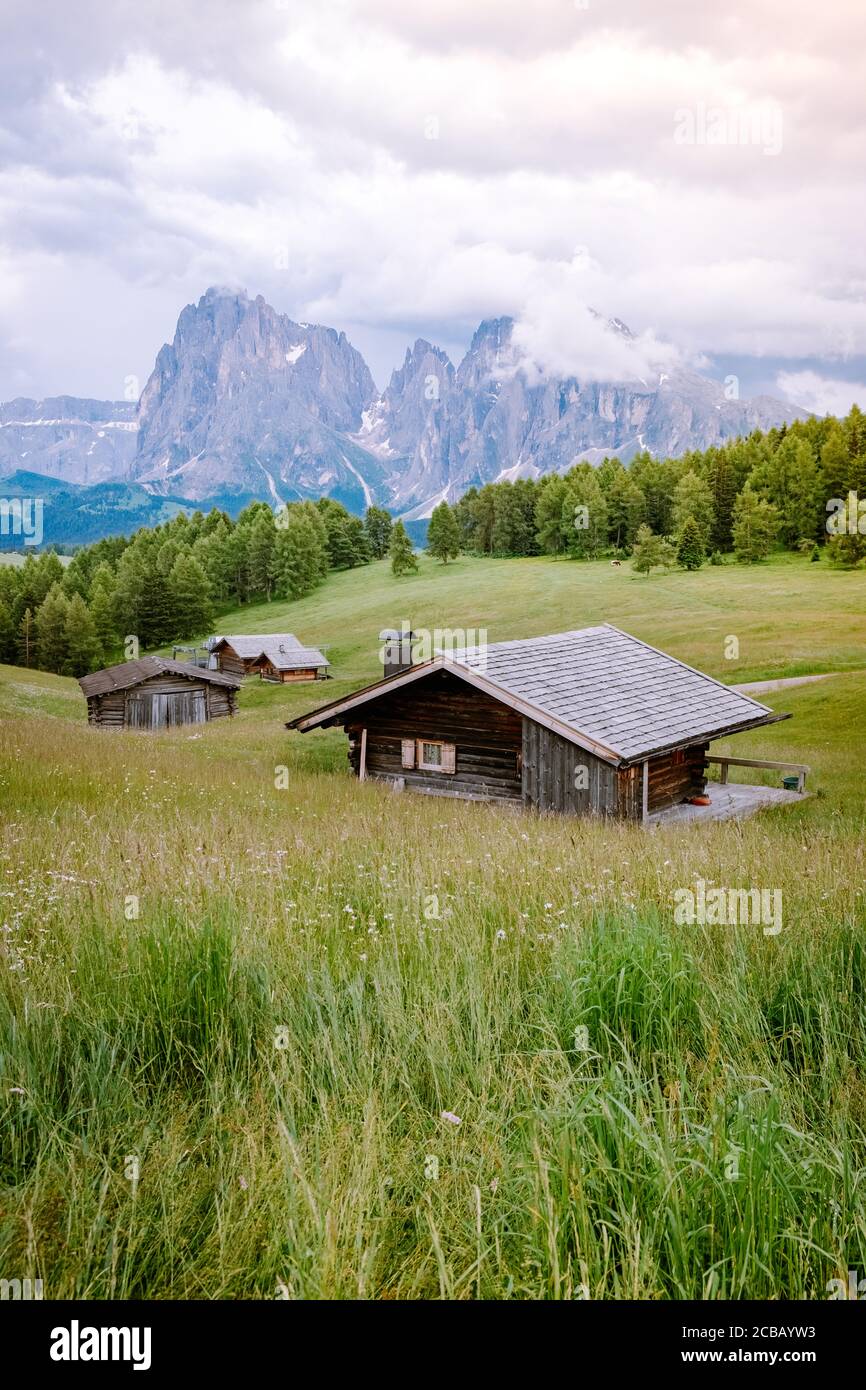 Seiser Alm - Seiser Alm mit Langkofel im Hintergrund bei Sonnenuntergang. Gelbe Frühlingsblumen und Holzhütten in den Dolomiten Stockfoto