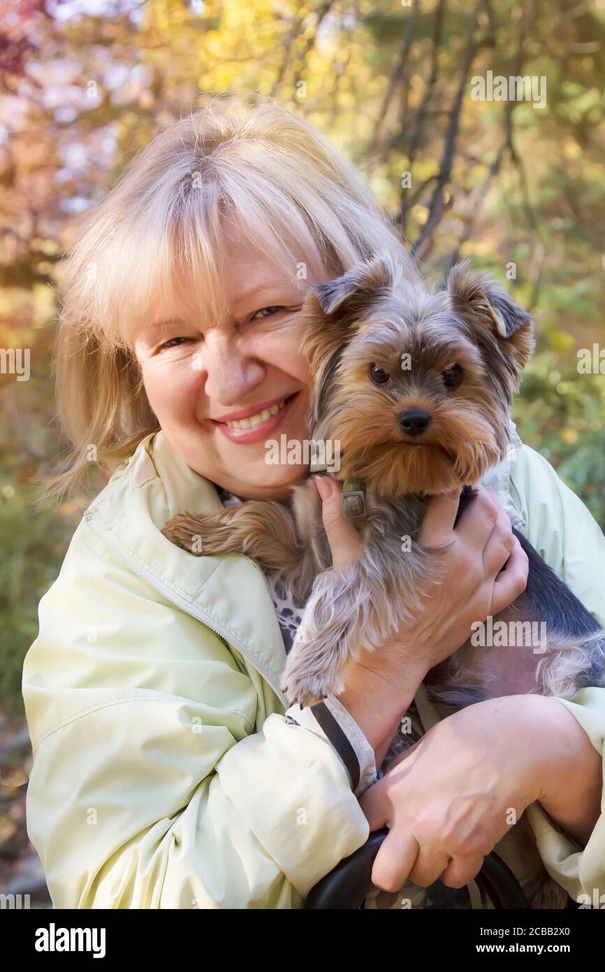 Schöne lächelnde Frau mittleren Alters hält ihr Haustier Yorkshire Terrier und Spaziergang im Herbst Park. Stockfoto