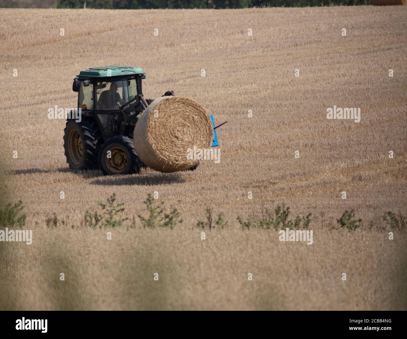 Westerham, Kent, 12. August 2020, Nachdem ein Bauer in Westerham Kent den Hay für etwa drei Tage ausgehärtet hat, lädt er seine Hay-Ballen mit einem Traktor auf einen Anhänger, der vom Feld entfernt werden kann. Heu kann zwei- bis dreimal im Jahr geerntet werden, der erste Schnitt hat in der Regel den größten Ertrag. Kredit: Keith Larby/Alamy Live Nachrichten Stockfoto