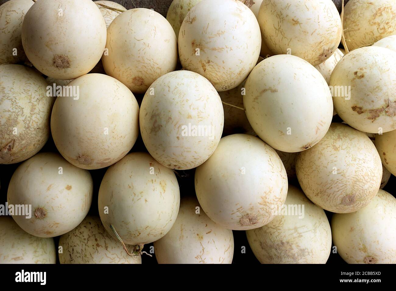 Cantaloupes werden rund angebaut. In Schichten gestapelt, sieht schön aus. Stockfoto
