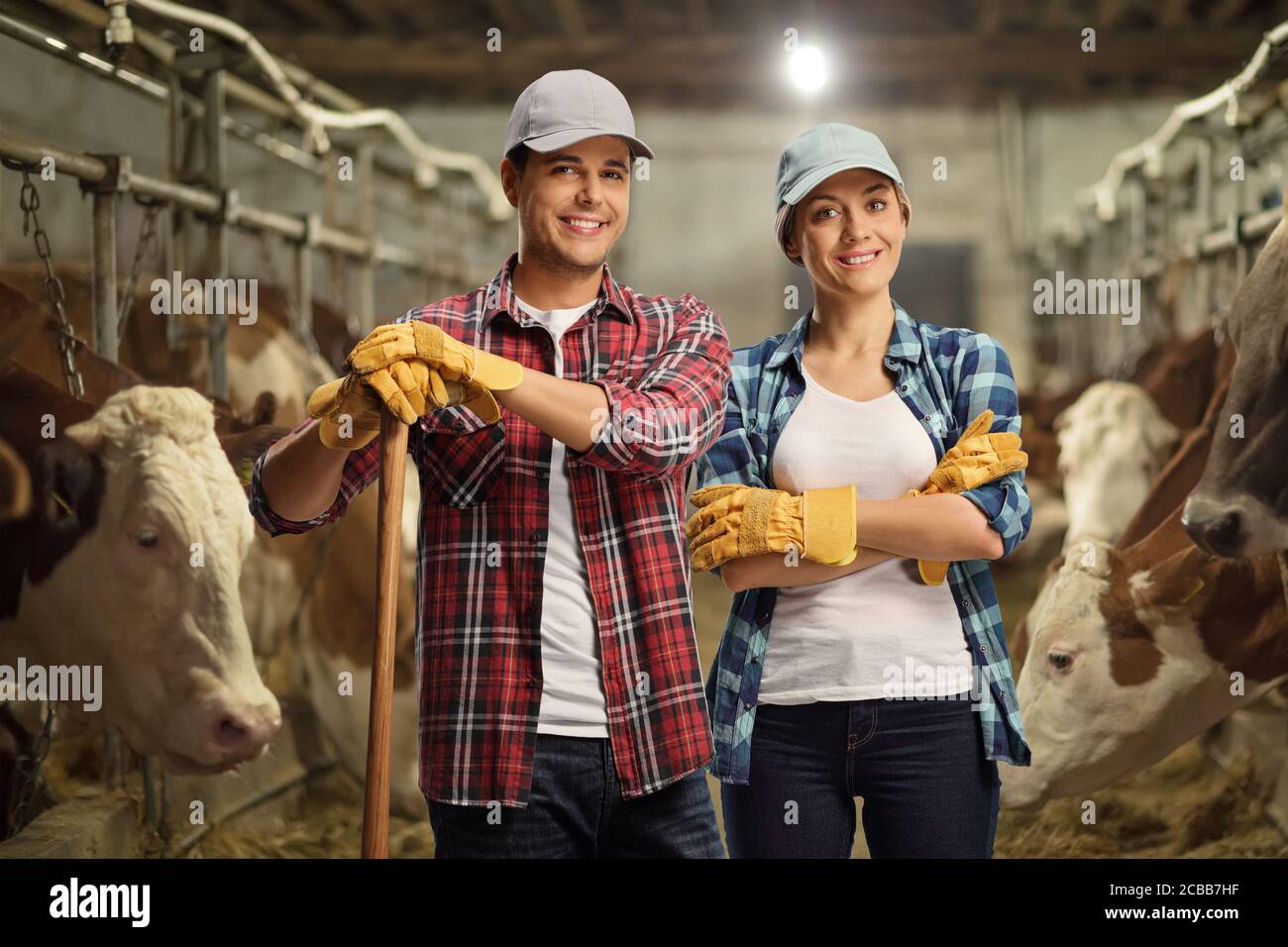 Männliche und weibliche Junglandwirte stehen in einem Kuhstall mit Kühe dahinter Stockfoto