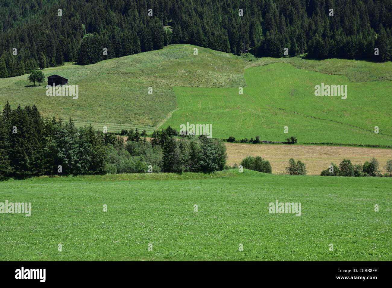Grüne Bergfelder im oberen Teil des Gsieser Tal Stockfoto