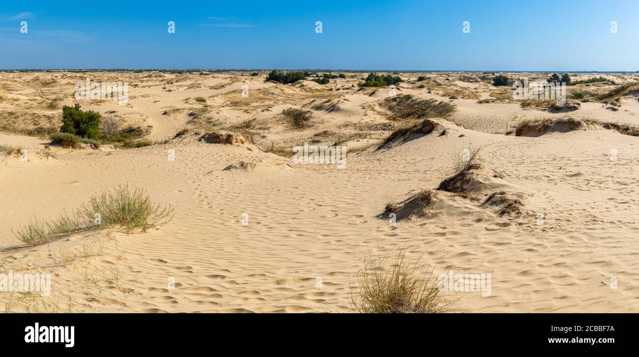 Panoramablick auf Oleschky Sands am blauen Himmel in der Cherson Region in der Ukraine, der größten Wüste Europas. Horizontale Aufnahme. Stockfoto