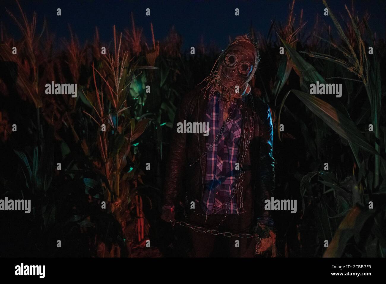 Walking Dead Zombie steht am Rande eines Kornfeldes in der Nacht mit Metallkette in der Hand. Stockfoto