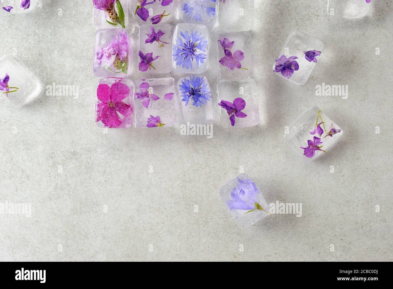 Florale Eiswürfel auf grauem Hintergrund, Draufsicht. Essbare Blüten in Eiswürfeln gefroren. Horizontal mit Platz für Text. Stockfoto