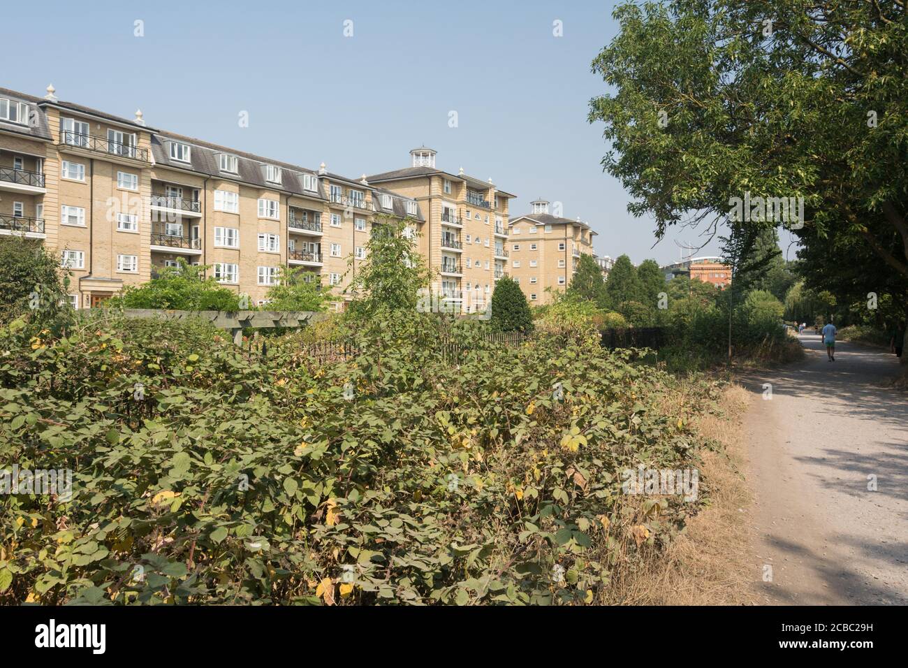 Wohnungen in der Harrods Village Entwicklung, Barnes, London, SW13, England, UK Stockfoto