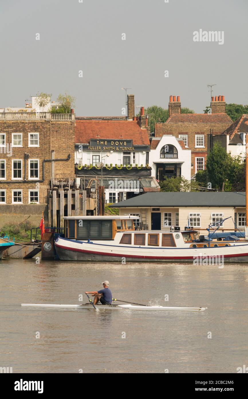 Die Taube Public House und anderen Gebäuden entlang der Themse Damm in Hammersmith in West London. Stockfoto