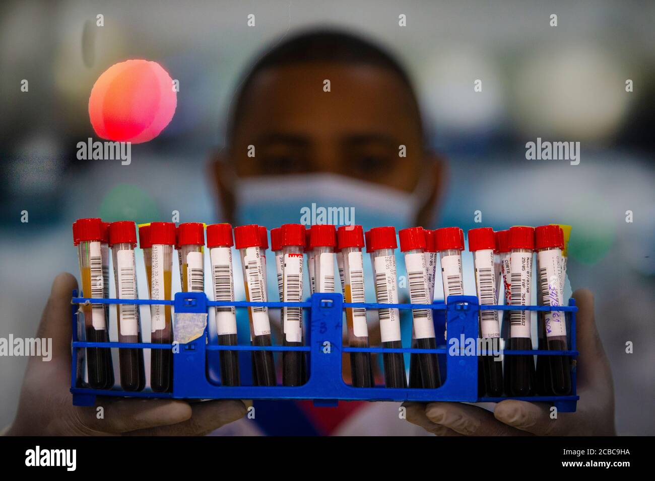 Rio de Janeiro, Brasilien 11. August 2020 EIN Biologe hält einen Halter mit Blutproben in einem Labor, um auf Corona-Virus covid-19 Antigene zu überprüfen. Stockfoto