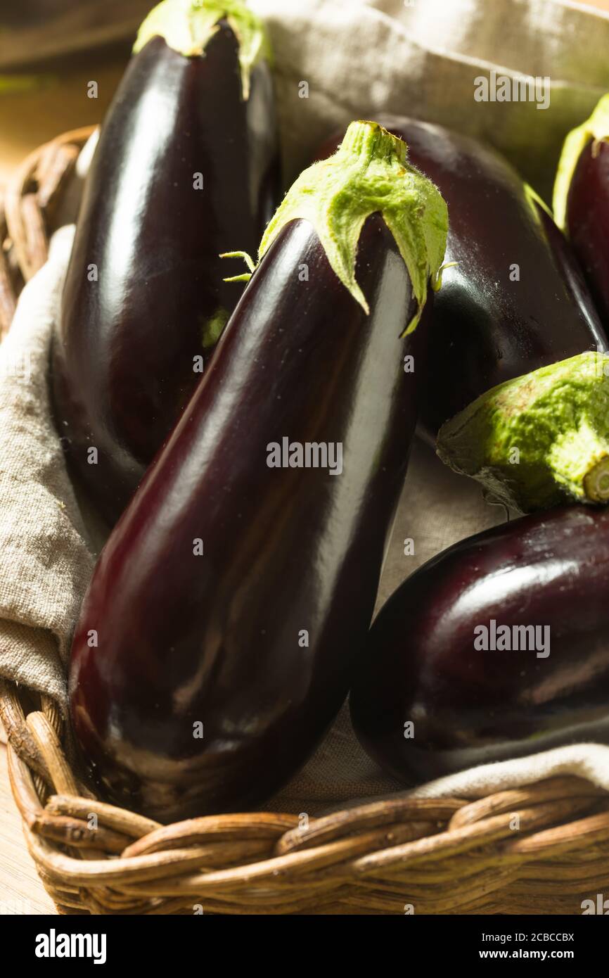 RAW Purple Organic Auberginen in einem Bündel Stockfoto