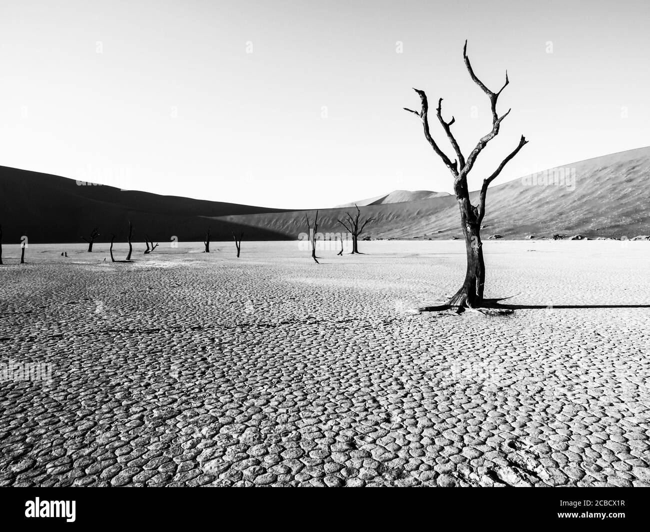 Verödete trockene Landschaft mit toten Kameldornbäumen in Deadvlei-Pfanne mit gerissenen Böden in der Mitte der Namib-Wüste roten Dünen, in der Nähe Sossusvlei, Namib-Naukluft National Park, Namibia, Afrika. Schwarzweiß-Bild. Stockfoto