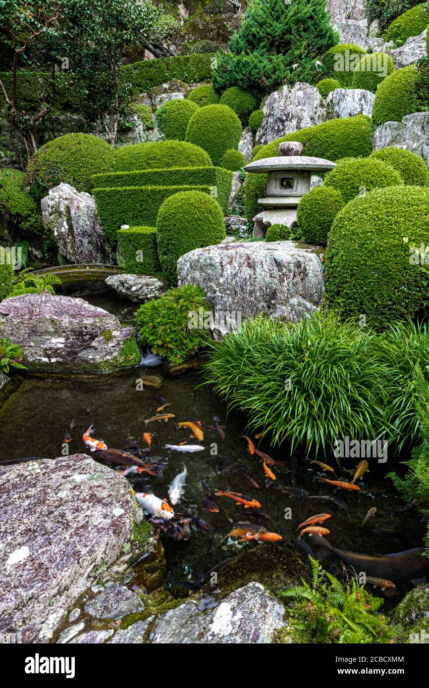 Vertikaler Garten bei Konomineji - Tempel 27 Konomineji ist ein langer Tagesweg - ungefähr 28 Kilometer - vom vorhergehenden Tempel, Kongochoji aufgestellt. Konom Stockfoto