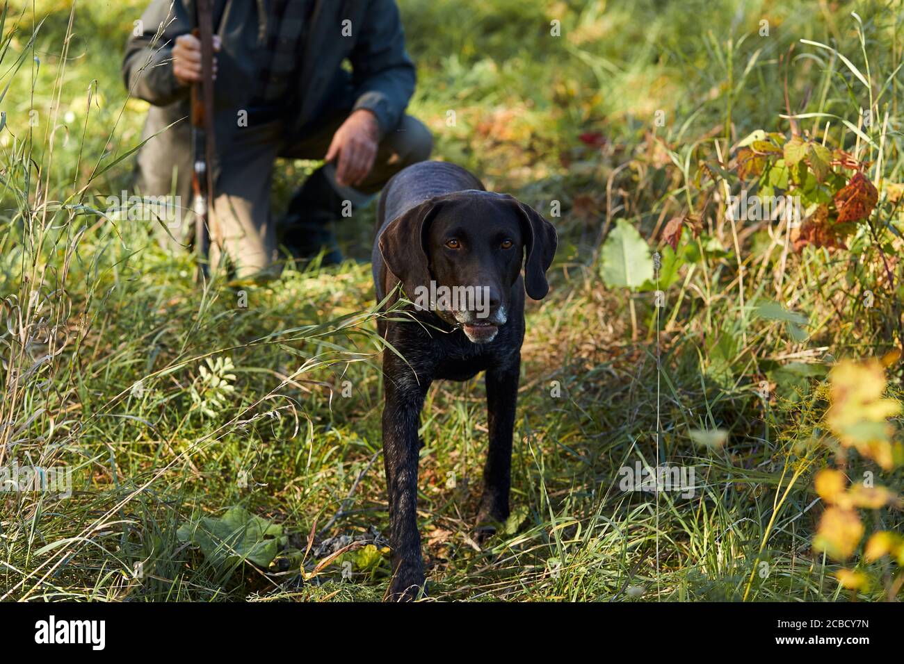 Jagdzeit. Autumjagd mit Hund im Wald. Mann, der auf Gras hinter seinem Hund sitzt Stockfoto