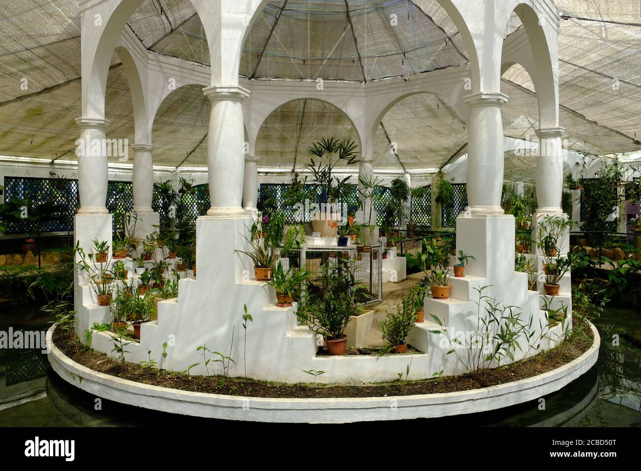 Brasilien Rio de Janeiro - Orchideengarten - Orquidario do Jardim Botanico Stockfoto