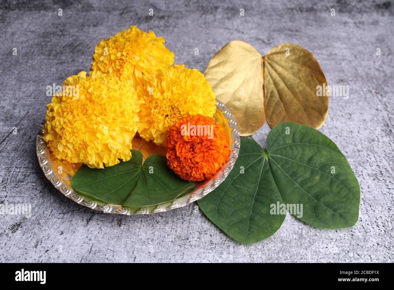 Rie symbol -Fotos und -Bildmaterial in hoher Auflösung – Alamy