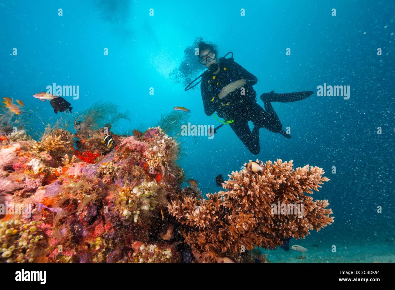 Junge Frau Scuba diver Erkundung Coral Reef, Unterwasser Aktivitäten Stockfoto