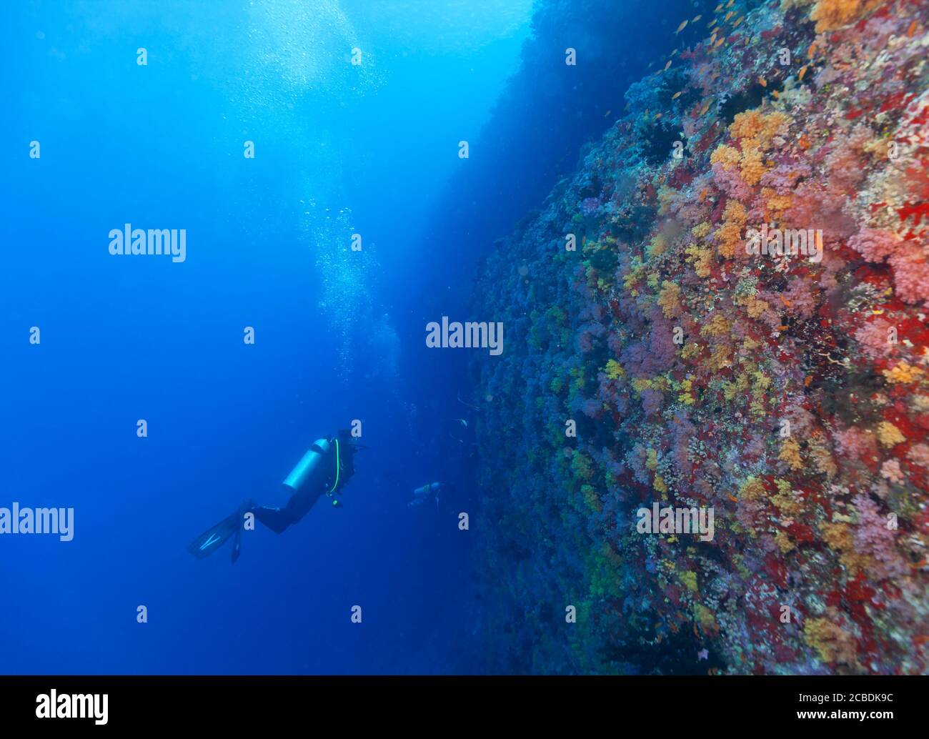Junge Frau Scuba diver Erkundung Coral Reef, Unterwasser Aktivitäten Stockfoto