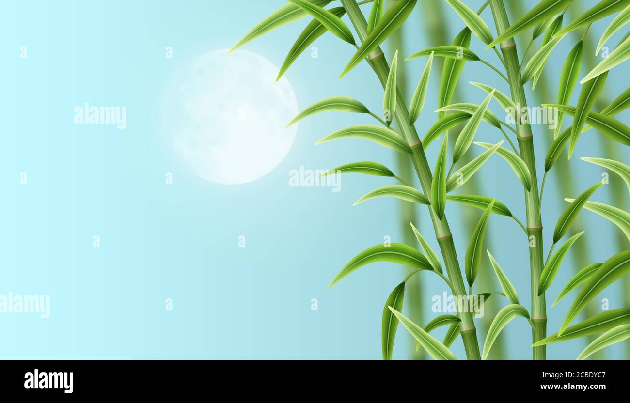 Landschaft mit Bambus Stock Vektor