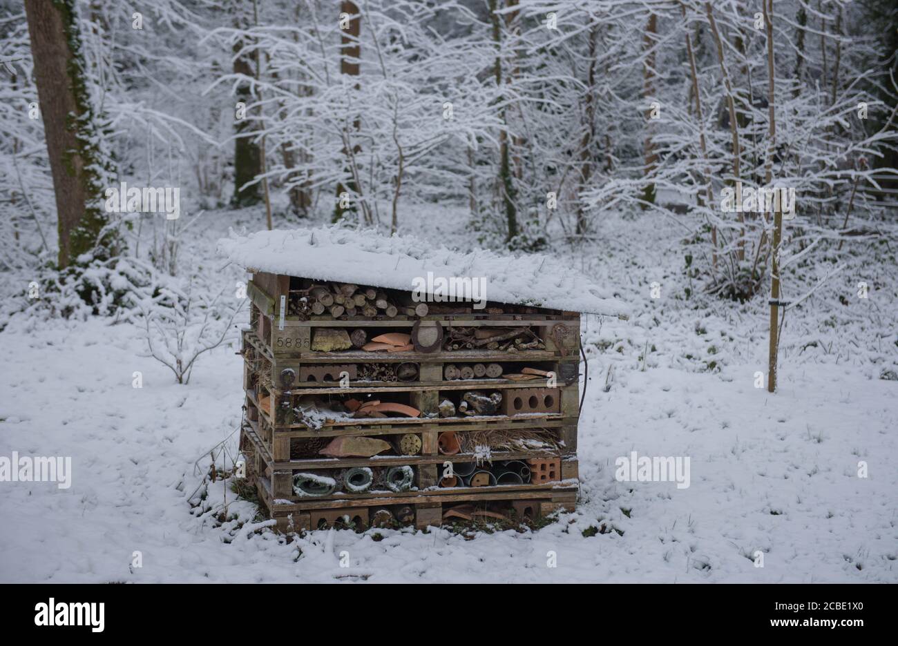 Wirbellose Nesting Box, Bug House oder Insect Hotel bedeckt mit tiefem dicken Schnee in einem Woodland Garden in Rural Devon, England, Großbritannien Stockfoto